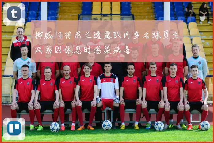 挪威门将尼兰透露队内多名球员生病或因休息时感染病毒